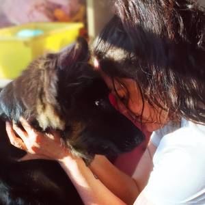 Meet your Posher, Joanie vigneault